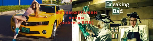 ПСИЛОЦИБИНОВЫЕ ГРИБЫ Новозыбков