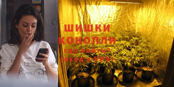 ПСИЛОЦИБИНОВЫЕ ГРИБЫ Новодвинск