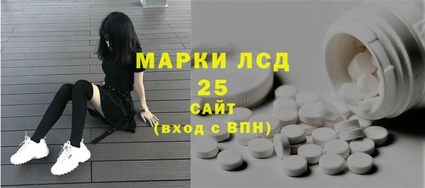 ПСИЛОЦИБИНОВЫЕ ГРИБЫ Новозыбков