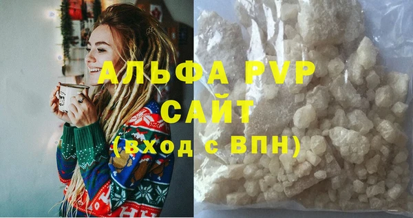ПСИЛОЦИБИНОВЫЕ ГРИБЫ Новозыбков