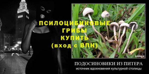 ПСИЛОЦИБИНОВЫЕ ГРИБЫ Новодвинск