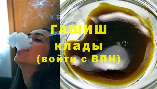 ПСИЛОЦИБИНОВЫЕ ГРИБЫ Новозыбков