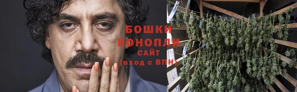ПСИЛОЦИБИНОВЫЕ ГРИБЫ Новозыбков